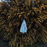 Ritual Costumes - Vigner