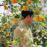 JELLYFISH TRANSPARENT