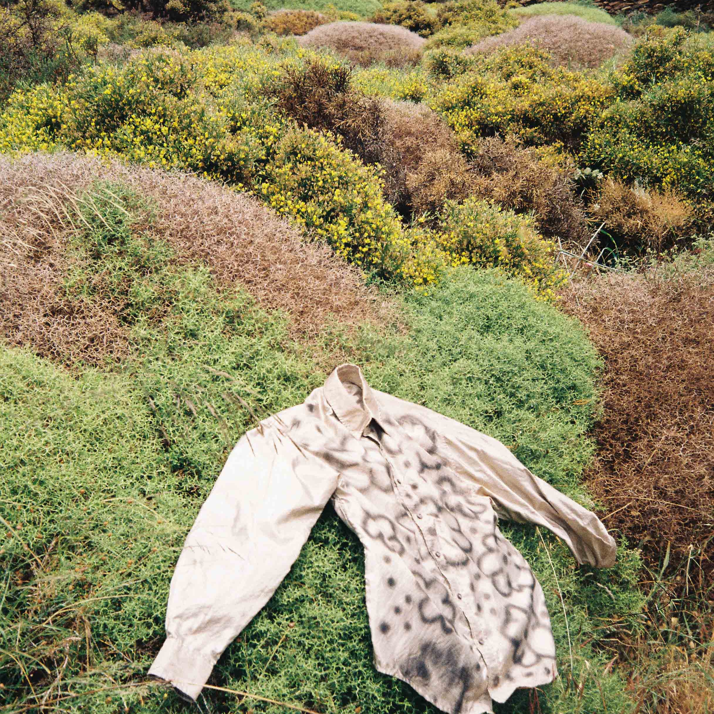 DREAMSCAPES: A COLLABORATION WITH HANK GRÜNER
